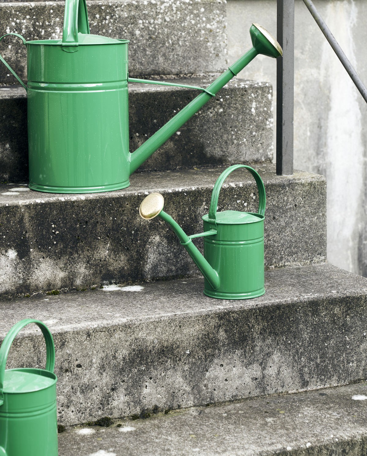 Wan Vandkande, grøn