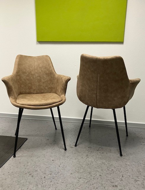 Spisebordsstole Nadia Beige med armlæn (2 stk. sætpris) Udstillingsmodel